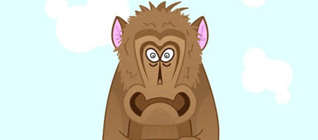ugly-monkey